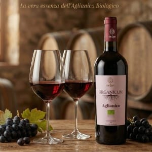 De Liso BIO Aglianico IGP Włoskie Wino Czerwone wytrawne 13% 75 cl